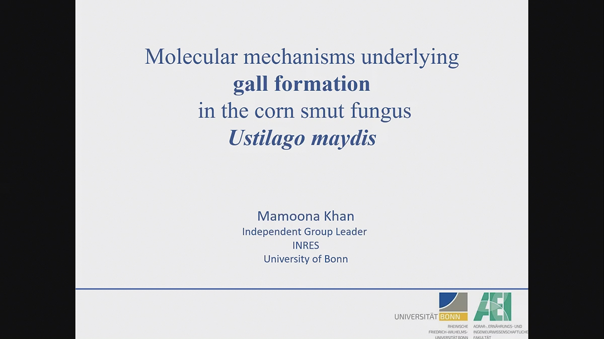 MamoonaKhan 7 14 25