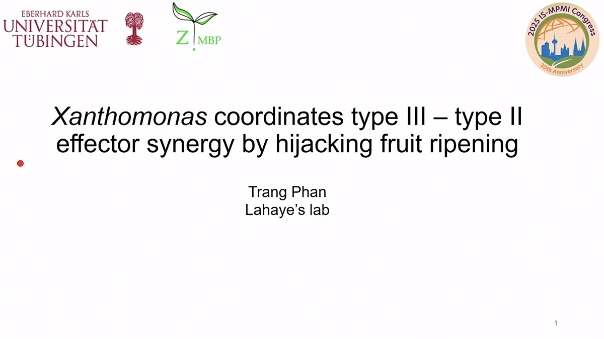 ThomasLahaye 7 15 25