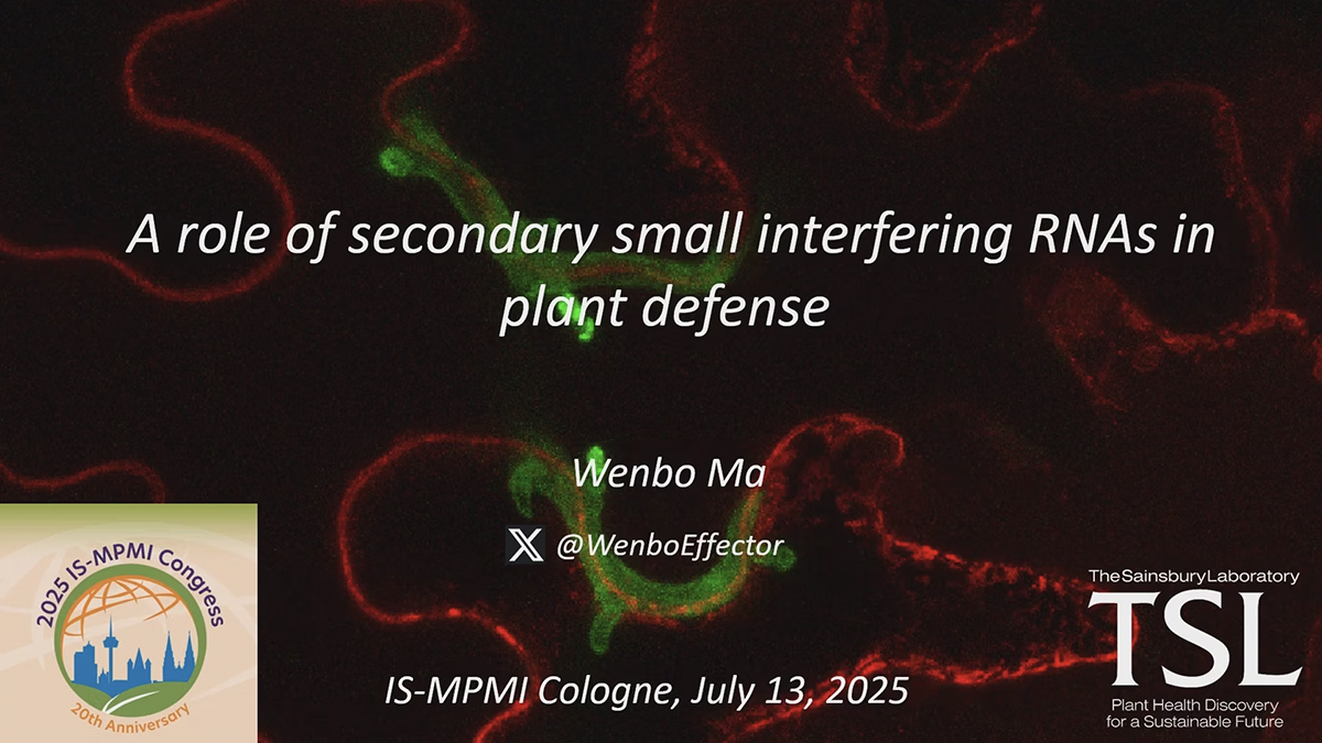 WenboMa 7 13 25