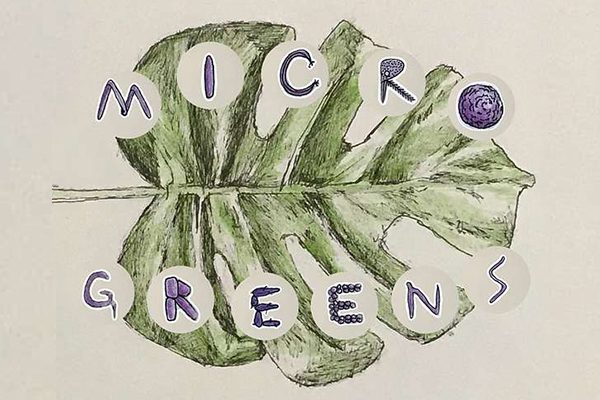 Microgreens Podcast